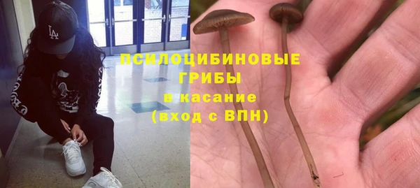 гидра Белокуриха