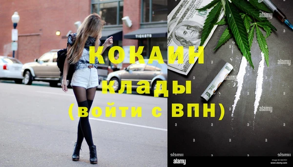 гидра Белокуриха
