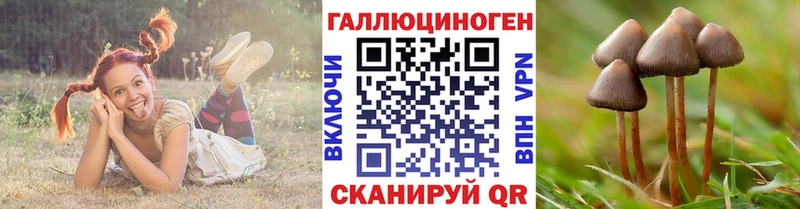 Галлюциногенные грибы мицелий  Заринск 